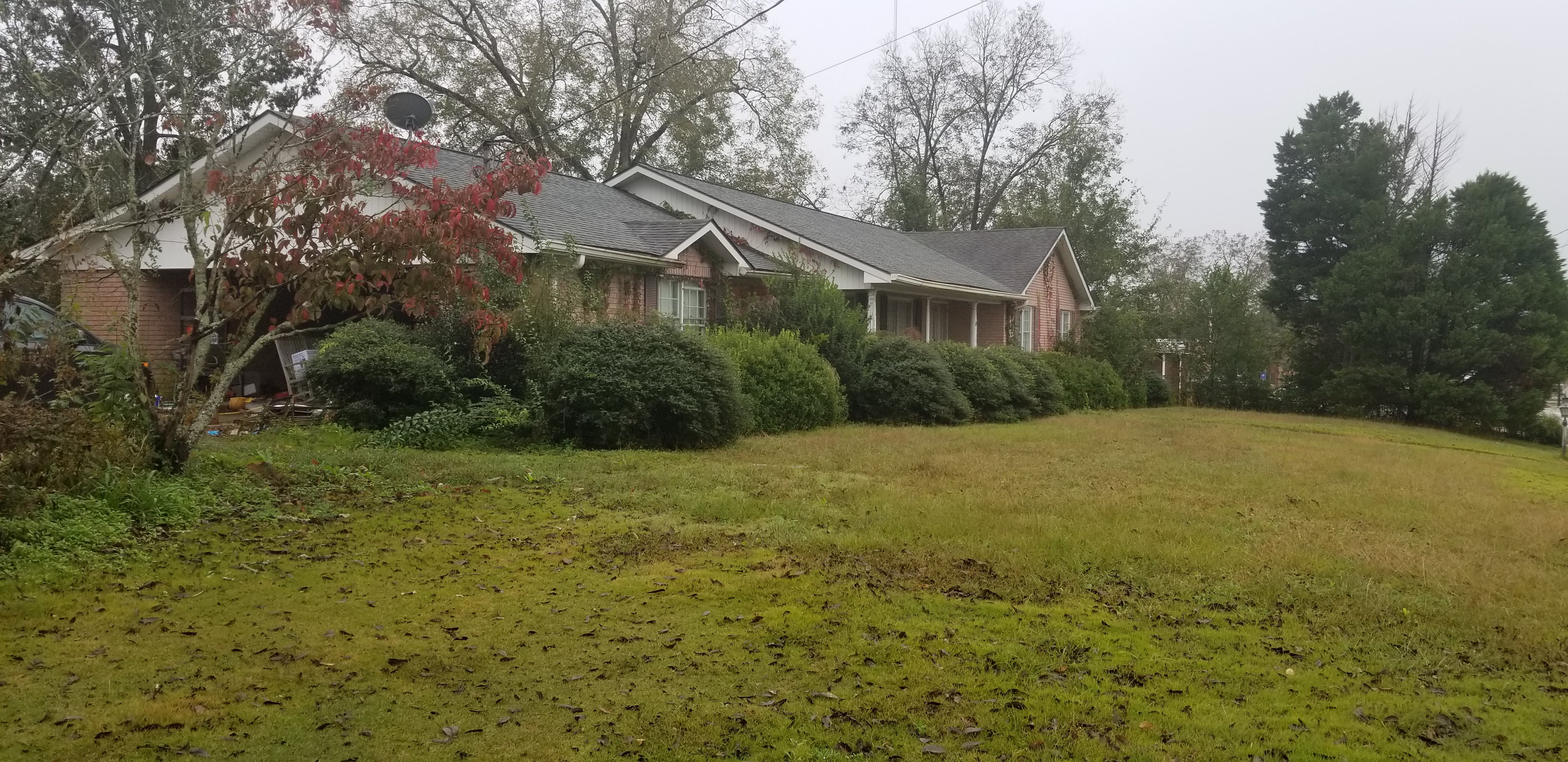 Before Image