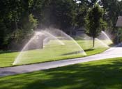 Murray Landscaping Example Image