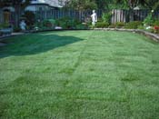 Murray Landscaping Example Image